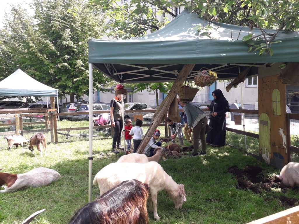 Ferme Pédagogique à La Bruyère, quartier faisant parti deSoirée de jeunes 11-15ans à l'Espace Jeunes de l'Archipel, Maison de Quartier Doutre, St Jacques, Nazareth à Angers